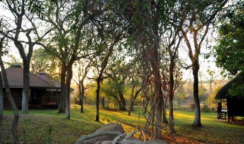 Idube Game Reserve サビ・サンド動物保護区 エクステリア 写真