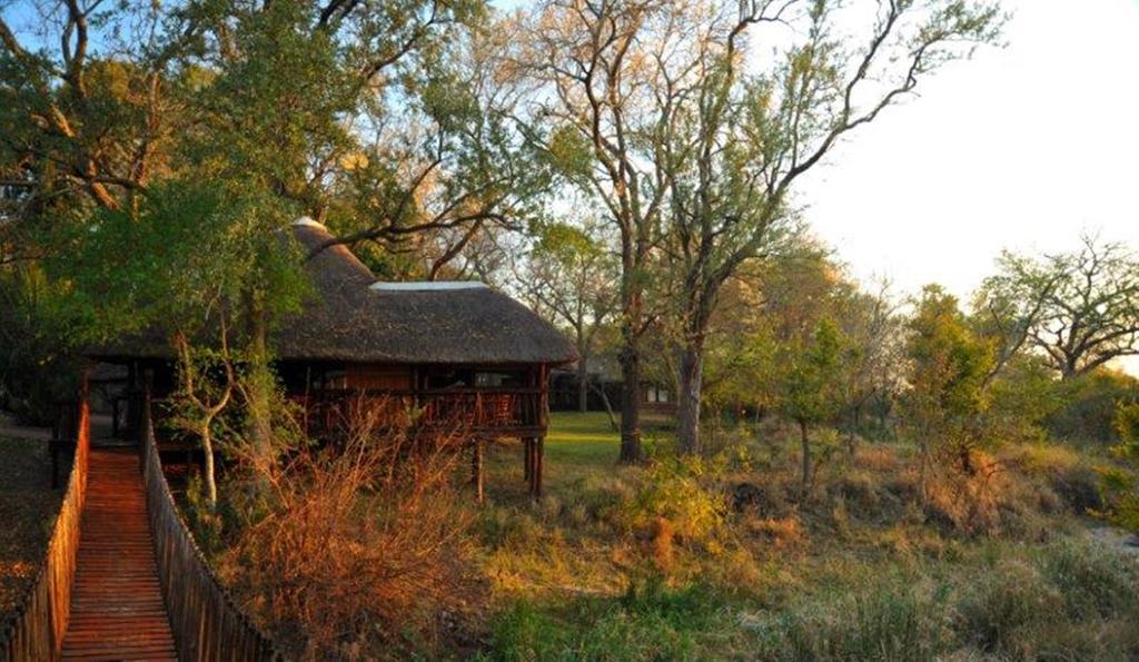 Idube Game Reserve サビ・サンド動物保護区 部屋 写真